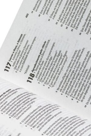 Bíblia Sagrada Jovem: Nova Tradução na Linguagem de Hoje (NTLH)